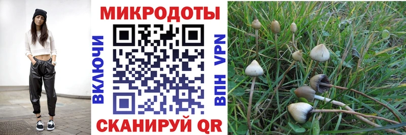 Галлюциногенные грибы мицелий Стрежевой