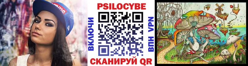 Купить  Стрежевой  Галлюциногенные грибы Cubensis 